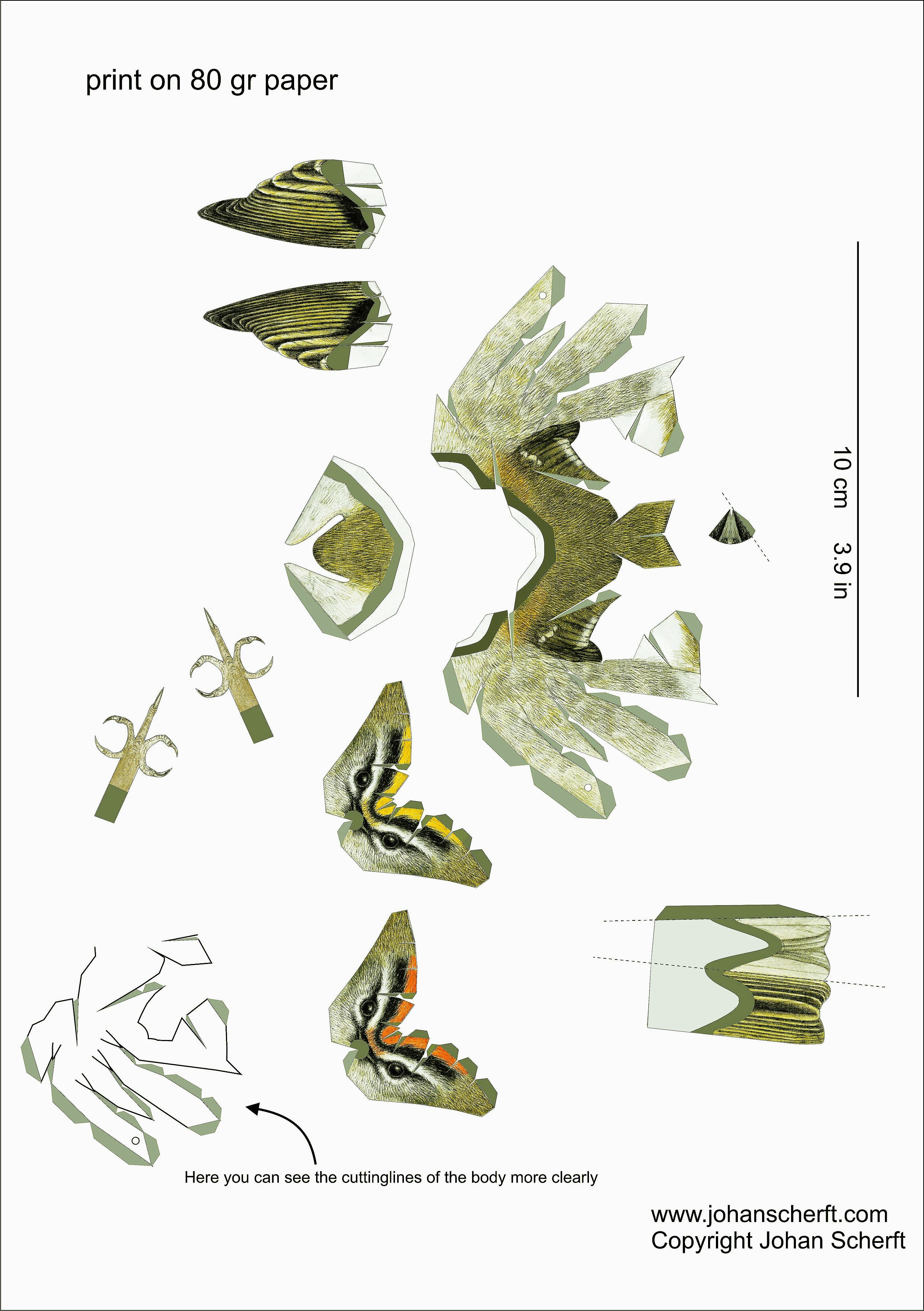 Bird Papercraft Templatefirecrest Sketches Of Things Pinterest