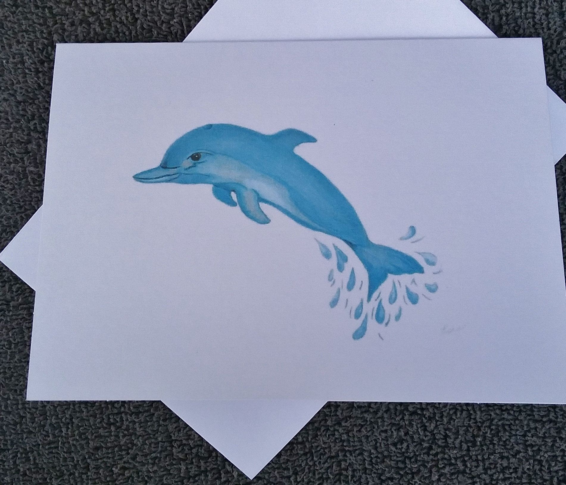 Dolphin Papercraft Greeting Cards Dolphin Greeting Cards Blue Dolphin Greeting