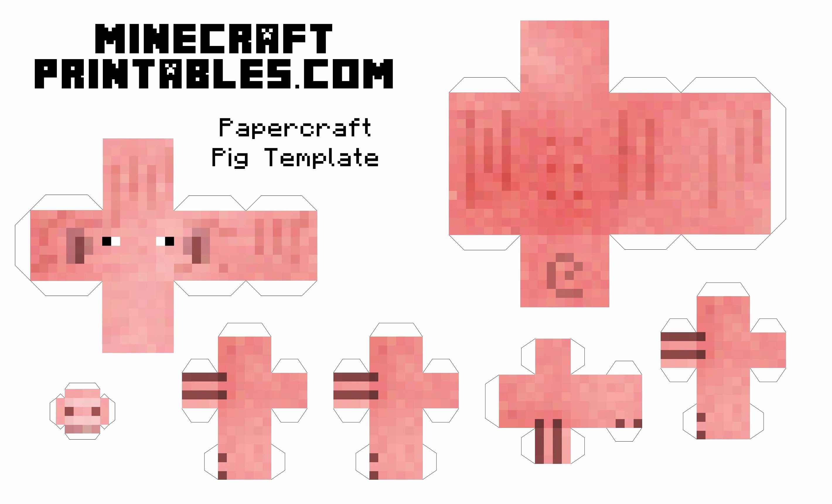 Minecraft Paper Folding