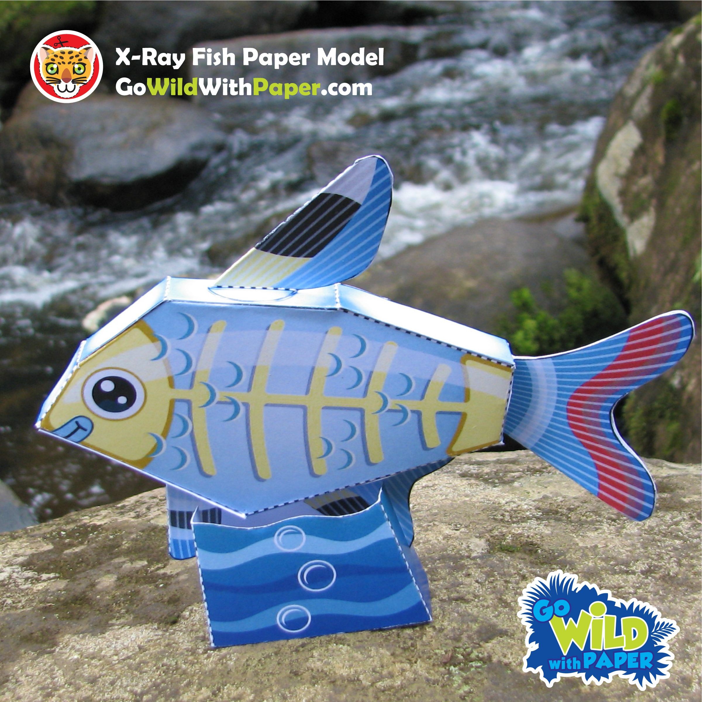 papercraft fish x ray fish craft activity 3d paper model printable papercrafts printable papercrafts