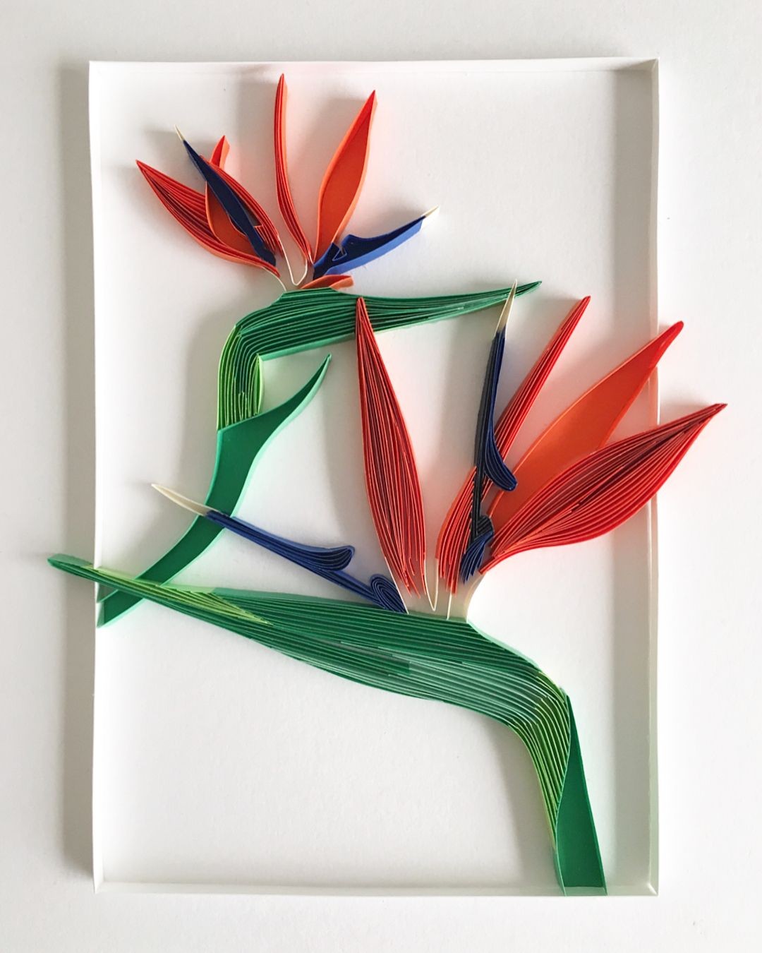 Papercraft Paradise Bird Of Paradise Quilling Paper Art Paperart Paperquilling
