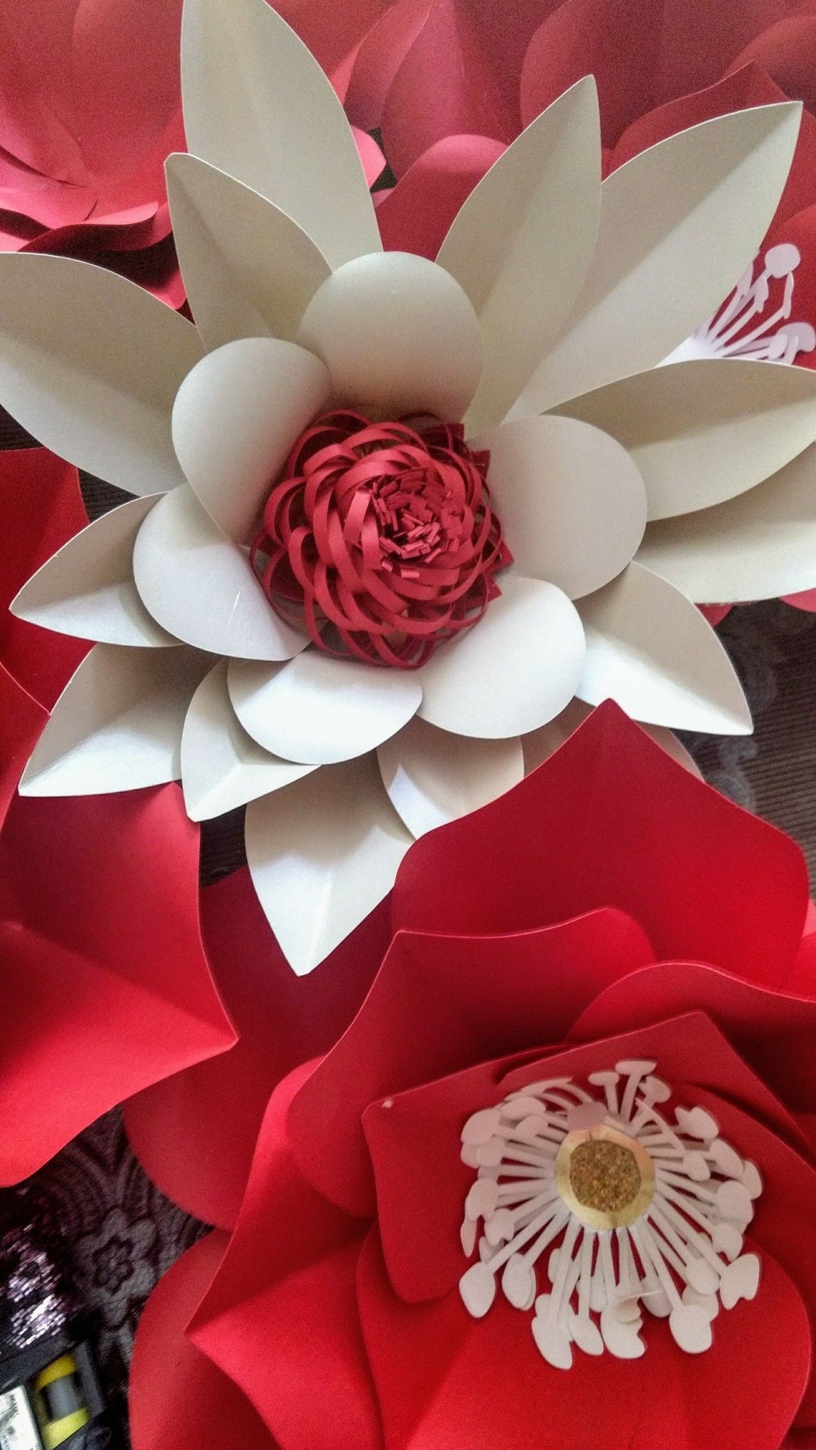 Papercraft Rose Pin by Heather Gallagher On Paper Flowers Rosettes and Shapes