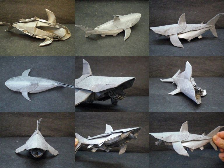 Shark Papercraft White Shark Collage Trollip By Origami Artist Galen On 