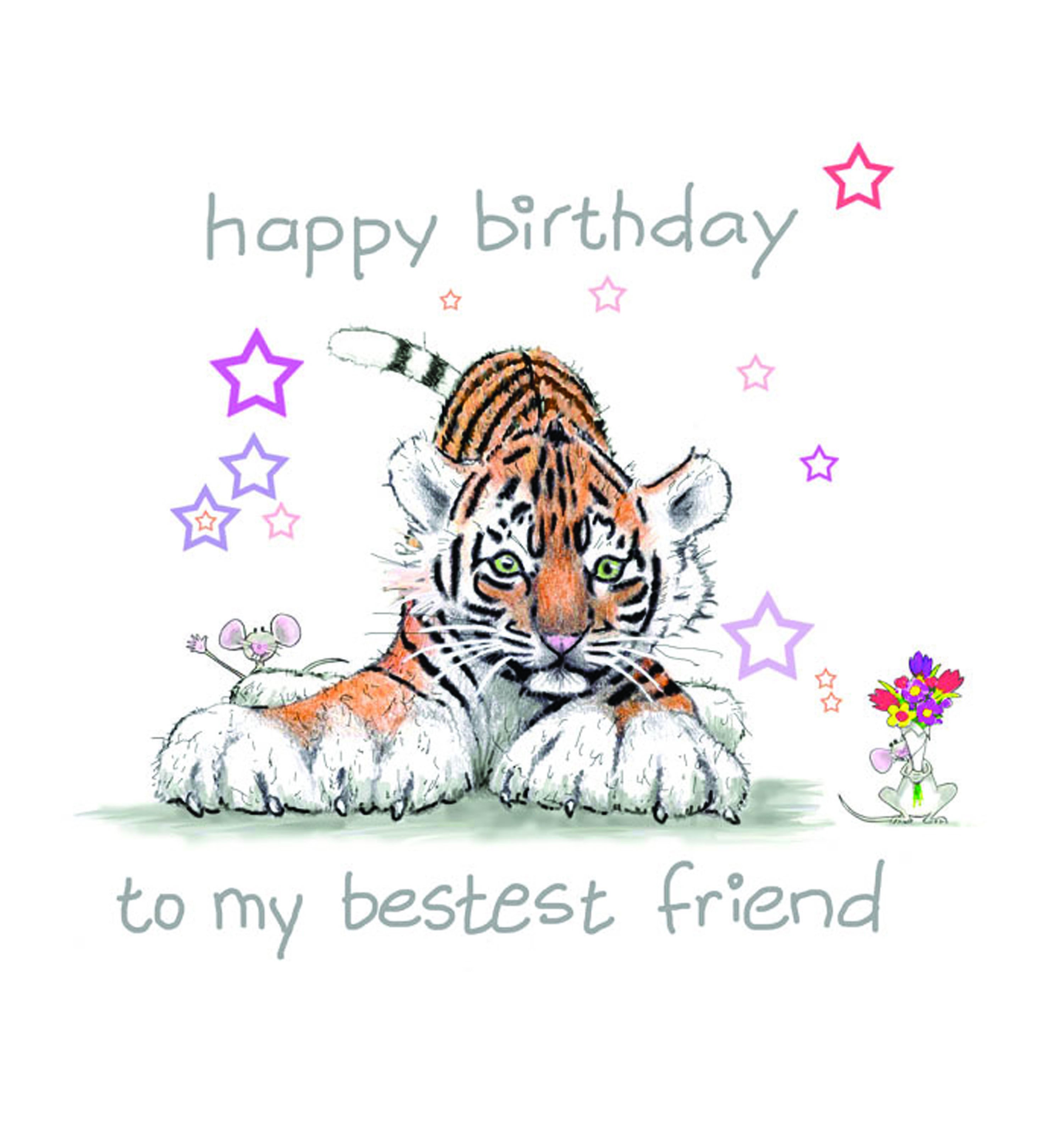 Tiger Papercraft Greetings From Phillip Allder Greeting & Stationery