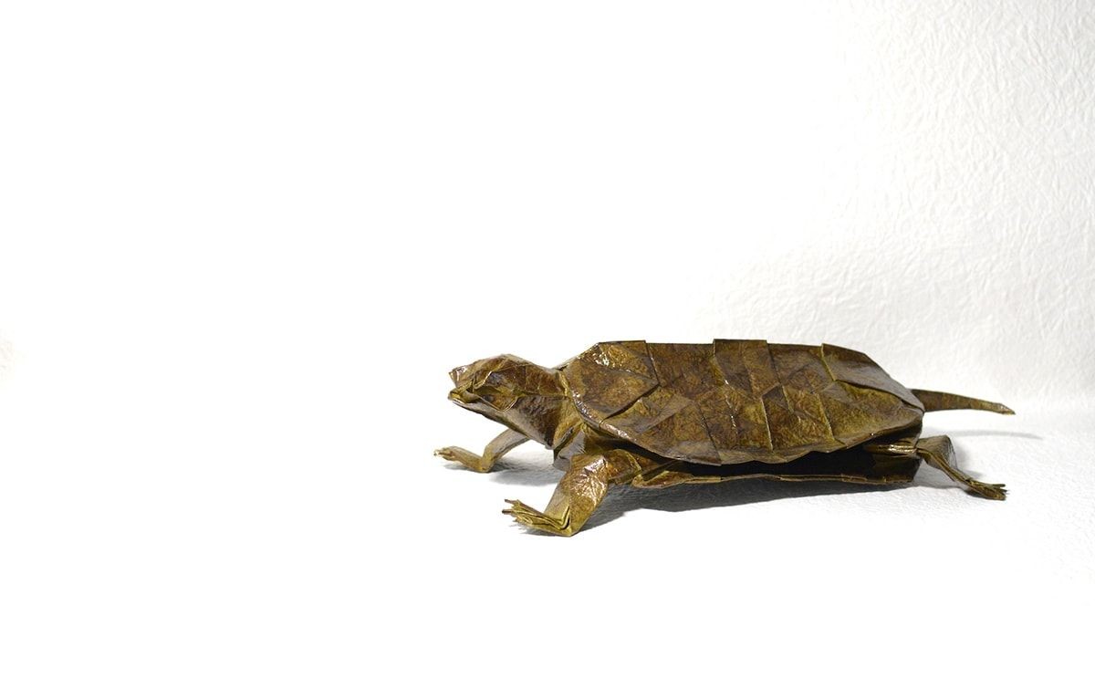 Turtle Papercraft Pin by ashley Lowery On origami Pinterest