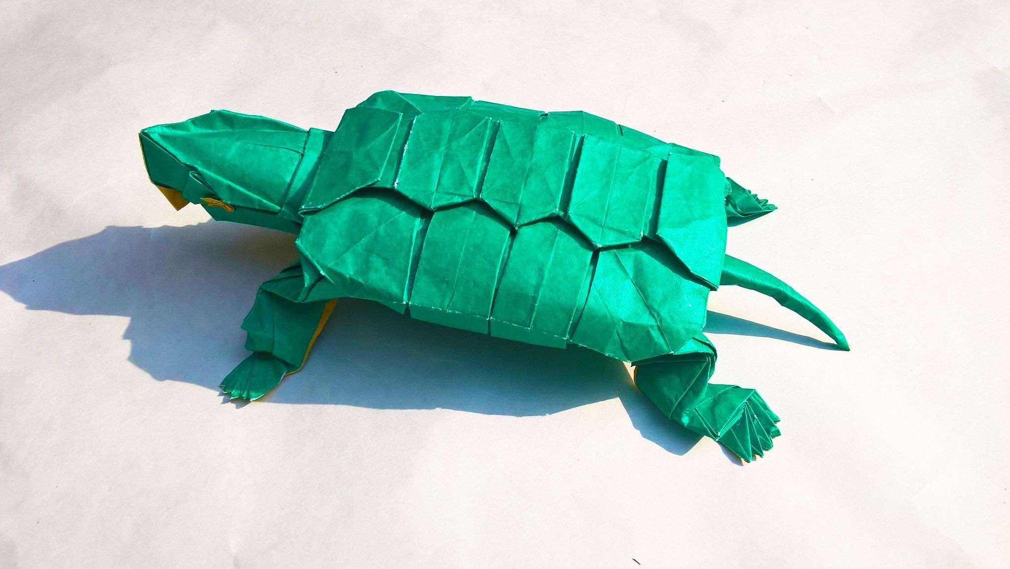 sea turtle origami turtle