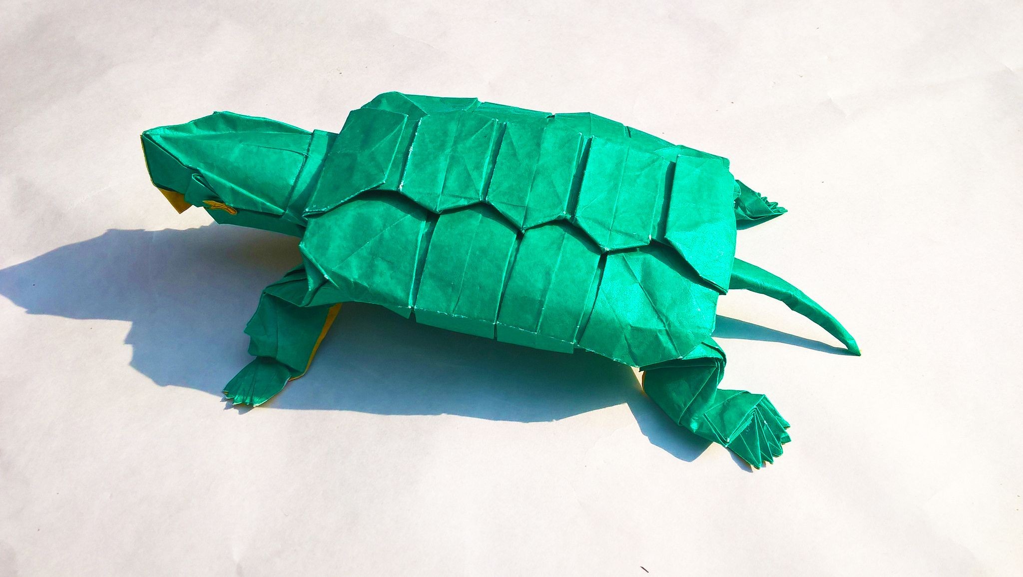 How To Make An Origami Loggerhead Sea Turtle