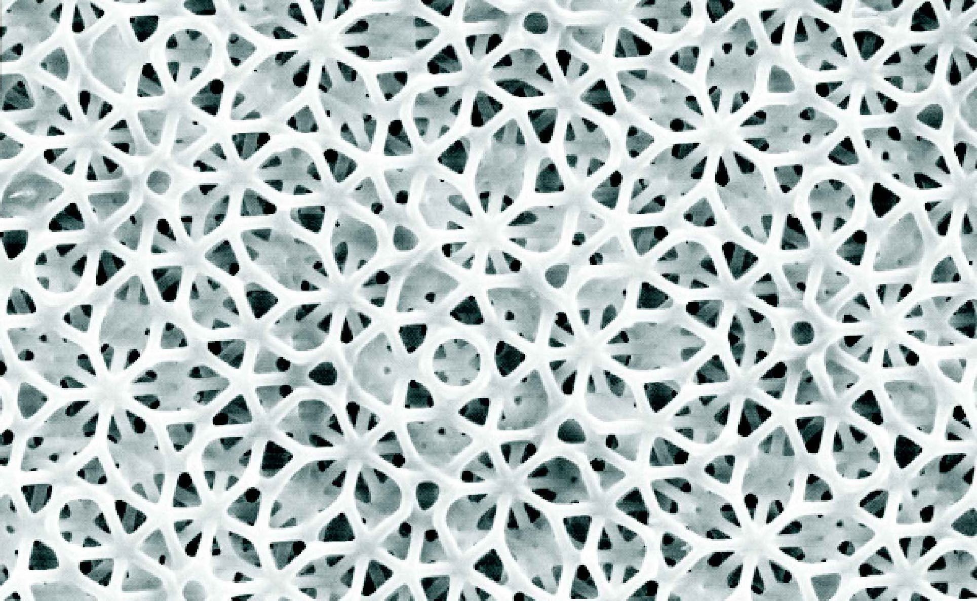 Xylem Papercraft Quasicrystals Girih Tiling